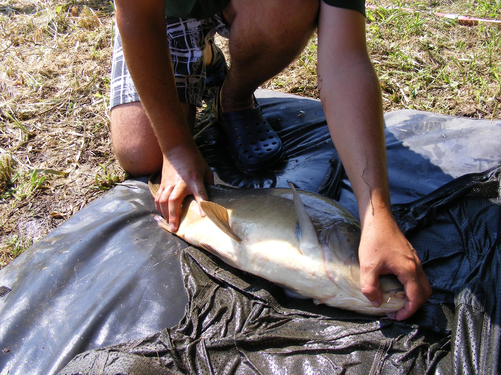 Sisterea 25 - 28 iul. - dscf3866.JPG